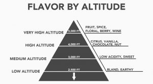 coffee-taste-by-altitude