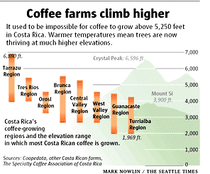 coffee-growth-elevation-costa-rica